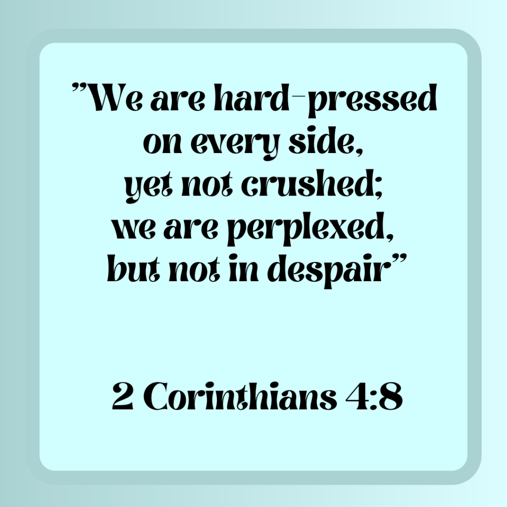 Pressed Not Crushed Co: Official Store&nbsp;Launch!