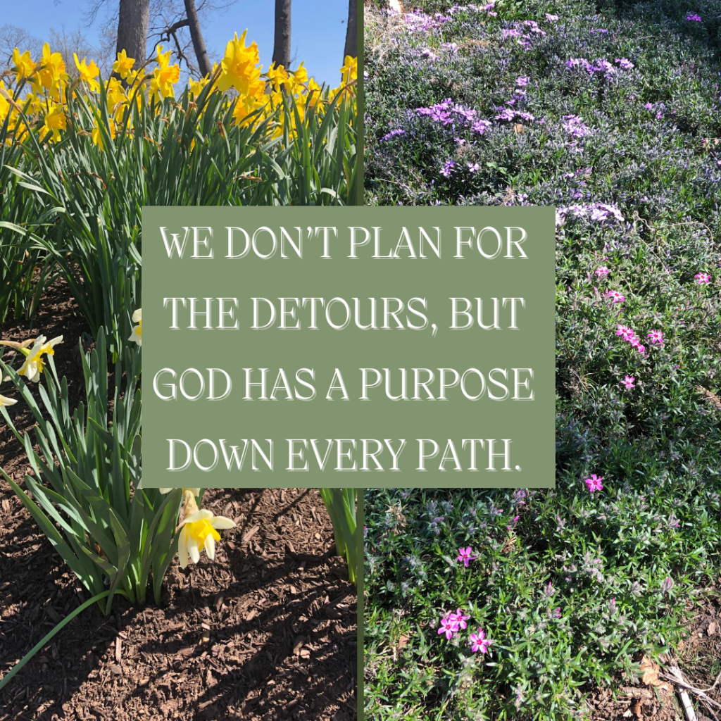 Divine Detours +&nbsp;Daffodils