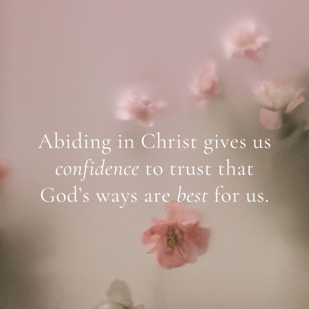 Finding Joy by Abiding in&nbsp;Christ