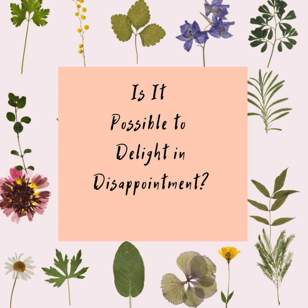 Is it Possible to Delight in Disappointment? – Guest Post on Faith to&nbsp;Follow